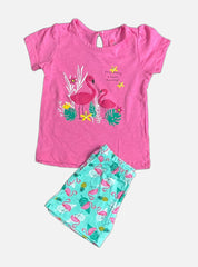 Girls T-Shirt Shorts Set (12 - 18 Months) - Pink Crane Flower Leaf